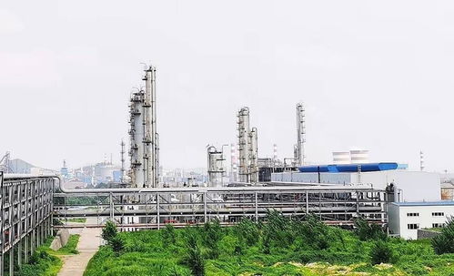 河北唐山一酒精化工廠發生爆炸,村民 玻璃震碎房頂塌了