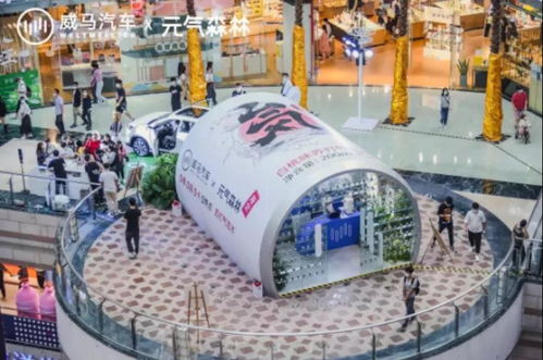 給全民造車,威馬尋找破圈機會點